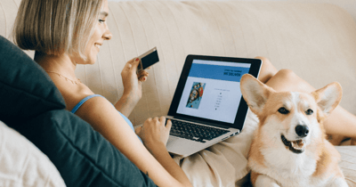 Debt portfolio for sale: $840K Commercial Loans From Originator in Multiple States (California Louisiana, North Carolina) from Viamericas. Total debt: $840463